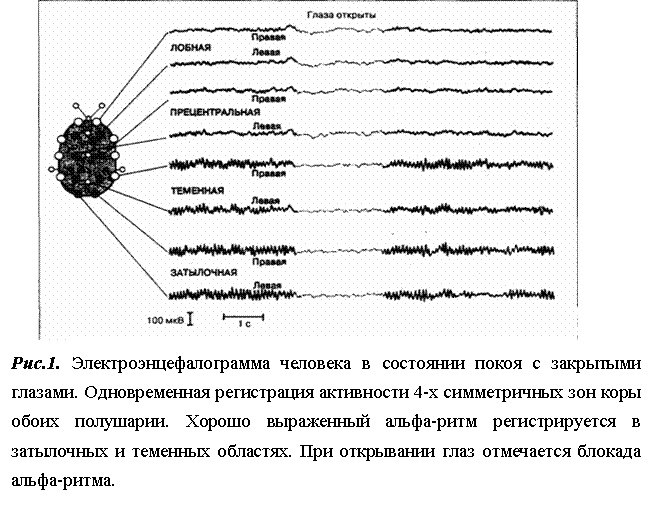 Методические указания: Бодрствование Методические указания: Бодрствование