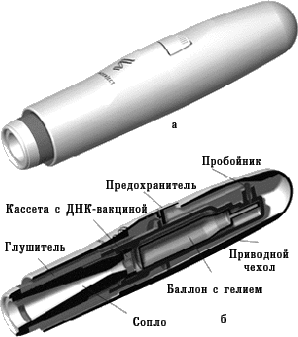 Курсовая: Генная инженерия Курсовая: Генная инженерия