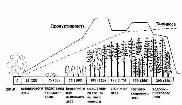 Реферат: Динамика экосистем, понятие сукцессии Реферат: Динамика экосистем, понятие сукцессии