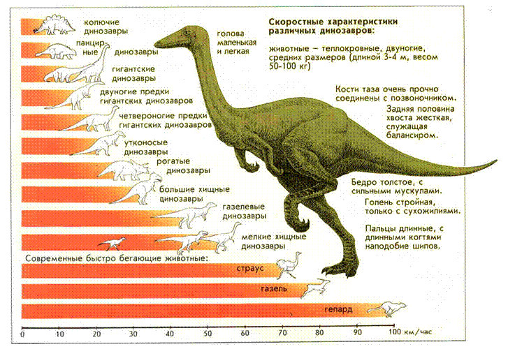 Подпись: