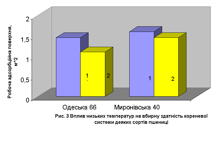 Курсовая: Зимостійкість і морозостійкість деяких сортів озимої пшениці в Притисянській низовині Курсовая: Зимостійкість і морозостійкість деяких сортів озимої пшениці в Притисянській низовині
