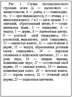 : . 1.   -  (    -,   ,   ,     ,   ,   -): 1  2   . 3  -,   ; 4   ; 5  ; 6  -; 7  ; 8   : 9     ; 10, ,    ; 11  ; 12    ; 13  ,    ; 14      ; 15   ; 16   ,  ; 17    ; 18   ; 19  ,  : 20   : 21   ; 22    ; 23   .