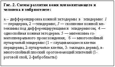 : . 2.      -  :
   
 --          1  , 2 , 3         ,  4    . 5   - ;        (1    , 2- , 3-  ), -    (1- , 2-)
