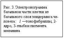 : . 3.  -    -   :   1 , 2-, 3-  