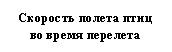 Подпись: Скорость полета птиц во время перелета