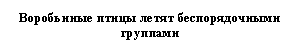 Подпись: Воробьиные птицы летят беспорядочными группами
