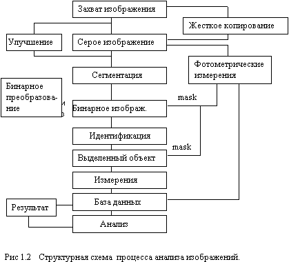 Диплом: Поражение нейронов вирусом герпеса Диплом: Поражение нейронов вирусом герпеса