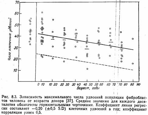 Реферат: Старение Реферат: Старение
