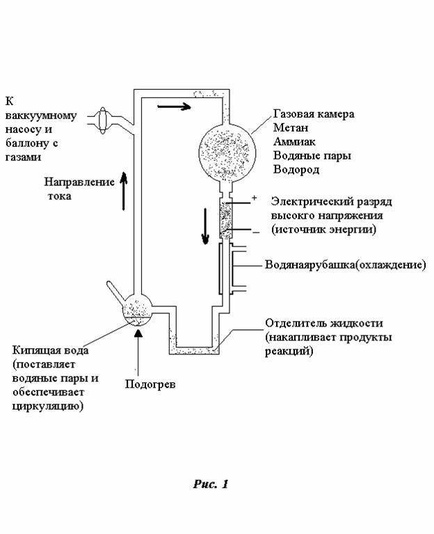 Реферат: Теории возникновения жизни Реферат: Теории возникновения жизни