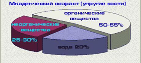 Реферат: Трубчатые кости Реферат: Трубчатые кости