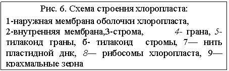 : . 6.   :
1-   ,
2- ,3-,        4- , 5-  , -   , 7  - , 8  , 9 -      
  

