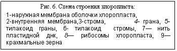 : . 6.   :
1-   ,
2- ,3-,        4- , 5-  , -   , 7   , 8  , 9       
  

