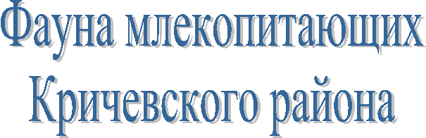 Фауна млекопитающих
Кричевского района