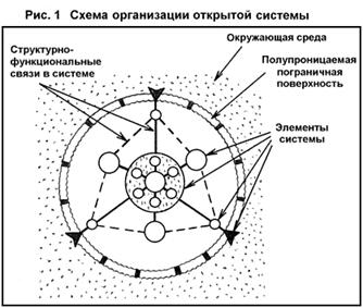 Лекция: Учебник по биологии Лекция: Учебник по биологии