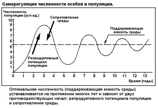 Лекция: Учебник по биологии Лекция: Учебник по биологии