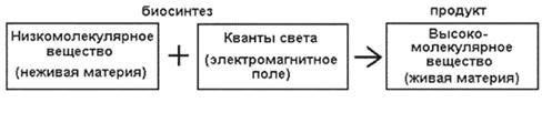 Лекция: Учебник по биологии Лекция: Учебник по биологии