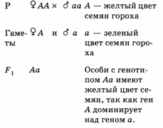 Шпора: Шпаргалки (биология) для выпускных экзаменов в 11 классе Шпора: Шпаргалки (биология) для выпускных экзаменов в 11 классе