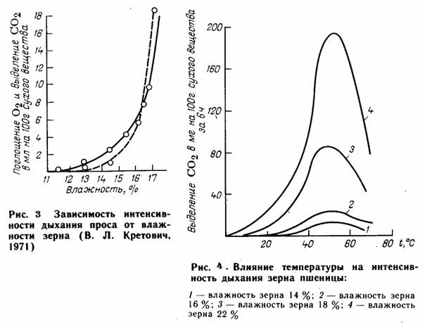 : Зерно: классификация, характеристика, требования к качеству, условия хранения : Зерно: классификация, характеристика, требования к качеству, условия хранения