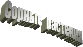 Сорные растения